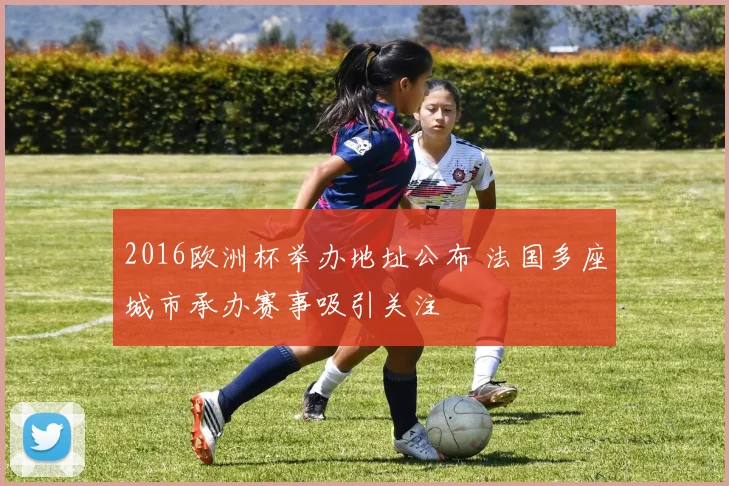 2016欧洲杯举办地址公布 法国多座城市承办赛事吸引关注