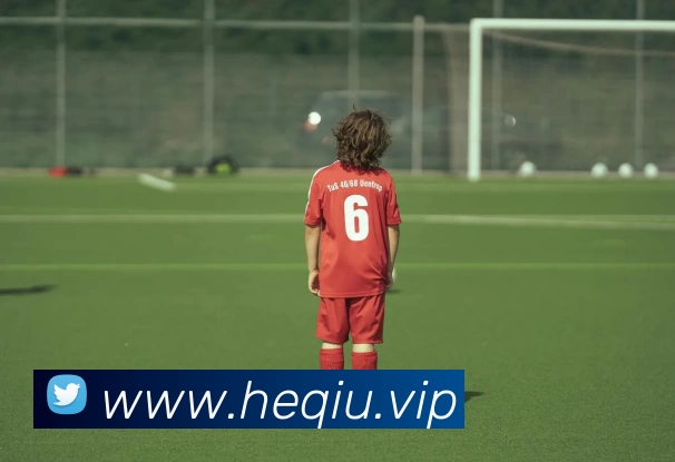 奇异果app官网入口(中国)有限公司 - 官网平台生态图